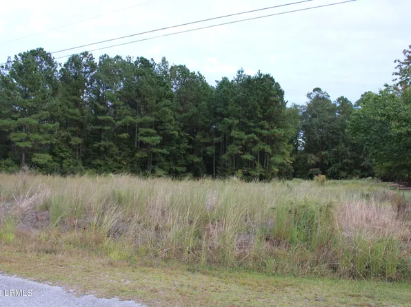 00 Mcgowan Street, Hampton, SC 29924