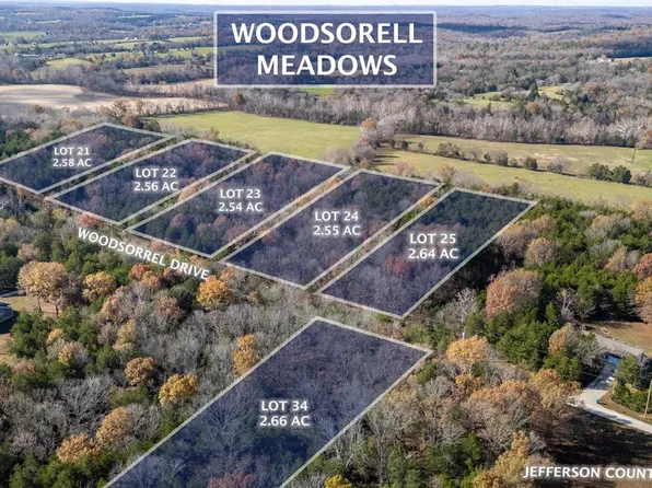 430 Woodsorrel Dr, Hillsboro, MO 63050