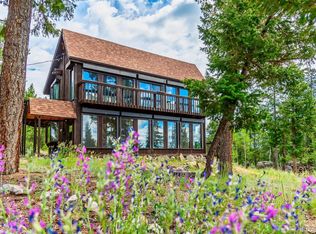 244 Old Sawmill Rd, Bailey, CO 80421