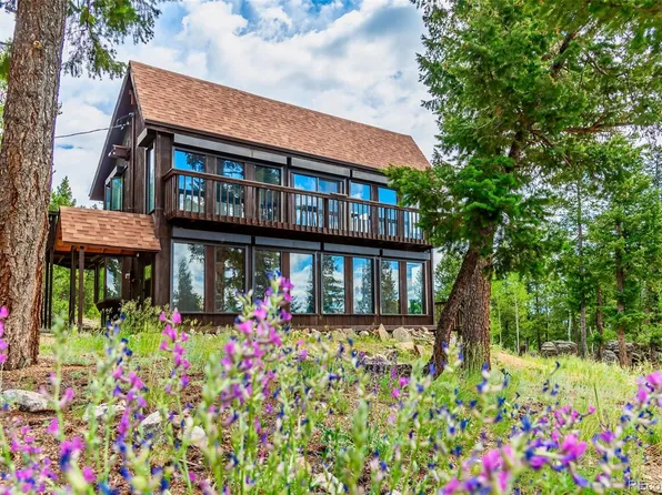 244 Old Sawmill Road, Bailey, CO 80421