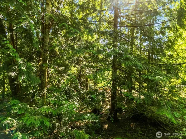 0 Beaver Place, Sedro Woolley, WA 98284
