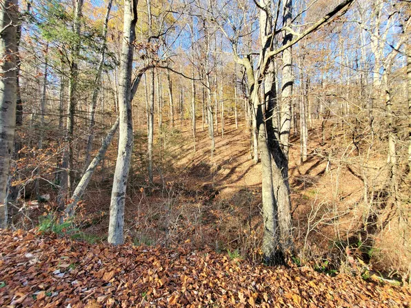 000 Ingram Branch, Roan Mountain, TN 37687