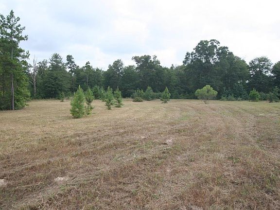 5th image of 21299 Big Buck Dr