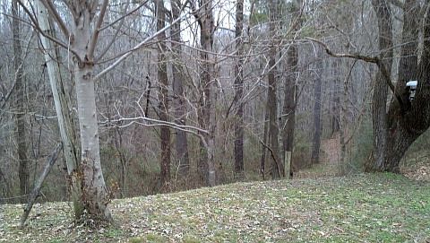 2nd image of 2137 York Hwy