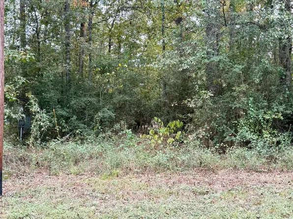 291 Beaver Run Lot 188, Livingston, TX 77351