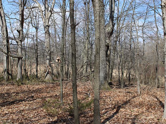 View of North Side of Proper