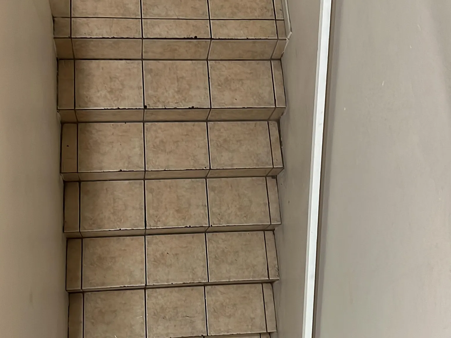 4 bed, $1,000 — Photo 2
