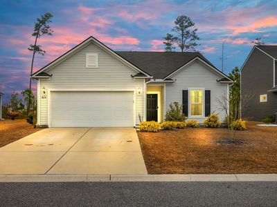 820 Wild Leaf Loop, Conway, SC, 29526