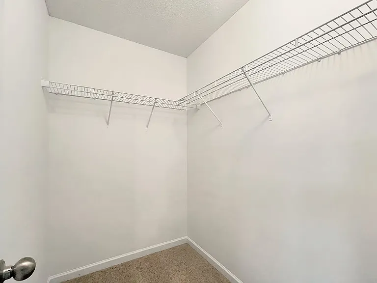 2226 Bigwood Trl — Photo 15