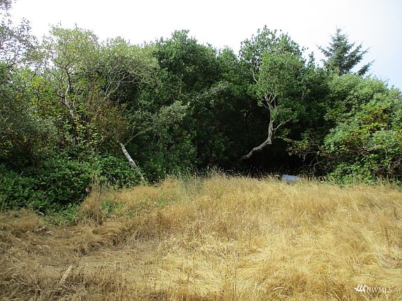 5th image of 990 Texmar Ave SW