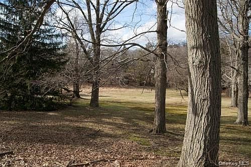 5th image of 182 Tuxedo Road