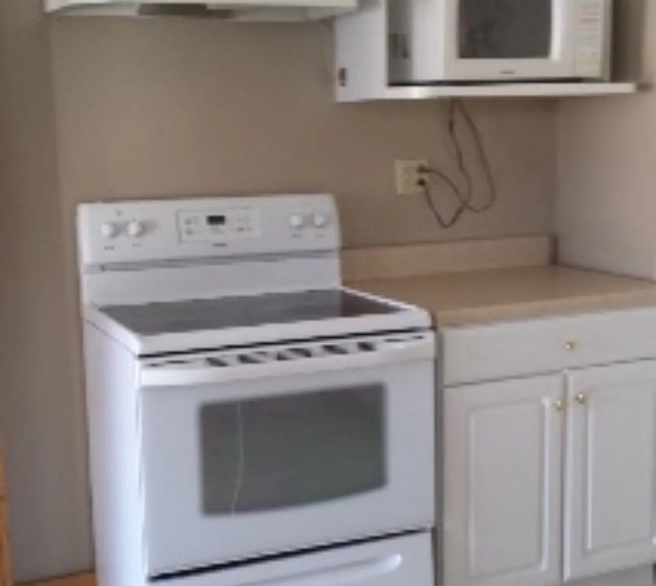 2 bed, 1000 sqft, $1,600 — Photo 4