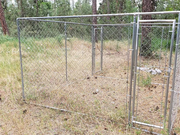 Dog kennel on property