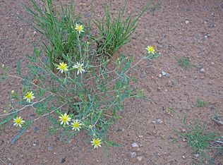 LOT 125 Rio Grande Blvd SW #11E, Los Lunas, NM 87031