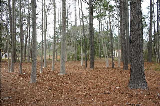 2nd image of 6323 N Highway 17