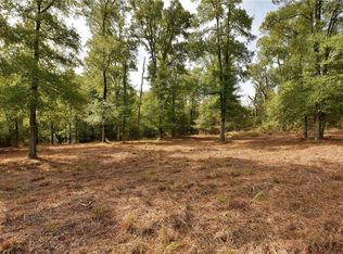 176 Colorado Dr, Cedar Creek, TX 78612