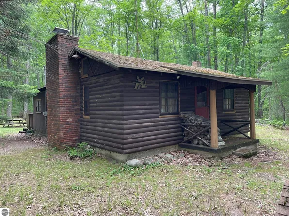 231 Dyer Rd, Rose City, MI 48654