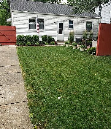 Back yard