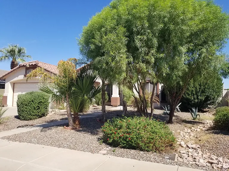 2460 E Whitten St — Photo 15