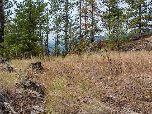 4th image of 991 Jaspers Cabin Ln