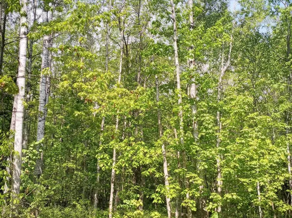 90 Lamont Rd, Bayfield, WI 54814