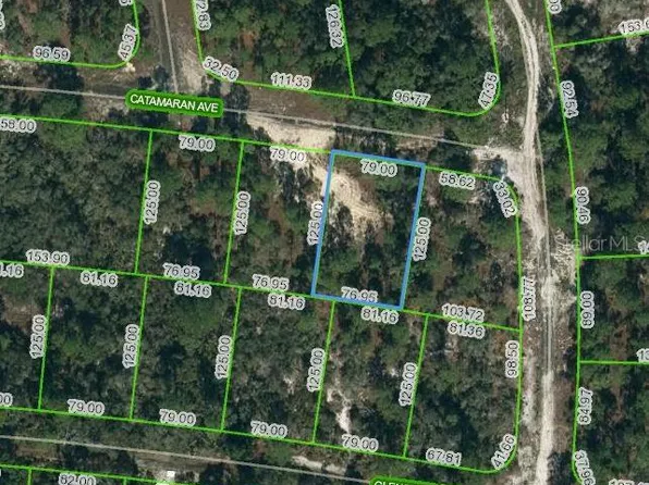 341 Catamaran Ave #11, Lake Placid, FL 33852