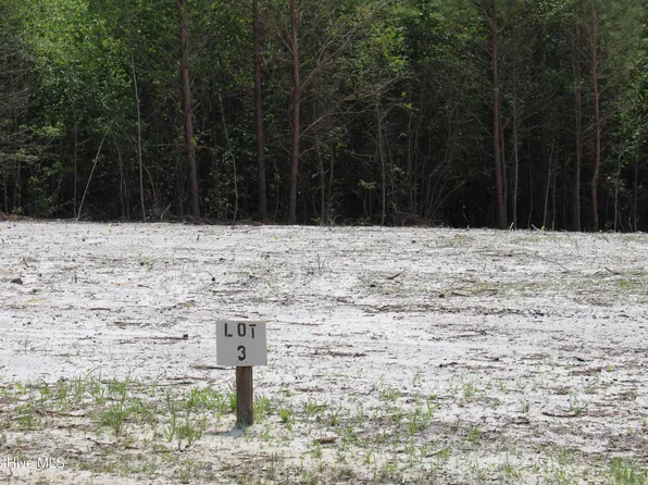 119 H.T. Brown Lane, Magnolia, NC 28453