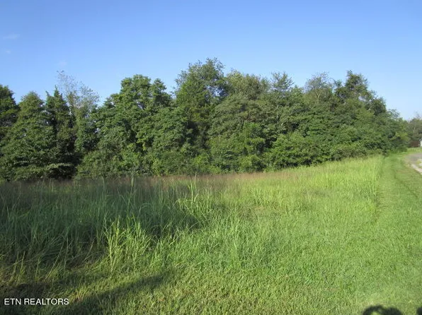 Doyle Ogan Ln, Rutledge, TN 37861