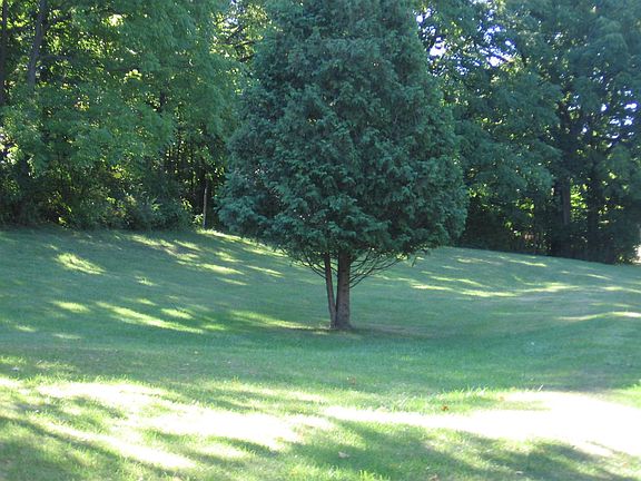 side yard