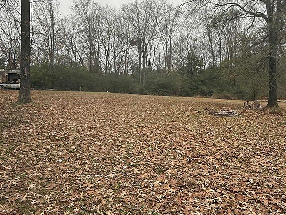 5th image of 1531 Letona Rd