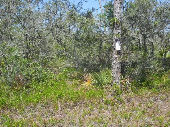 753 Bonanza Ave NW, Lake Placid, FL 33852