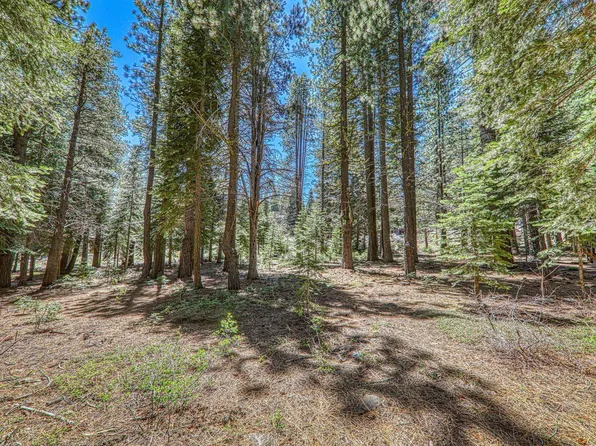16859 Northwoods Blvd, Truckee, CA 96161
