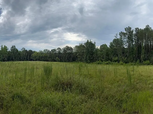 County Road 87, Winfield, AL 35594