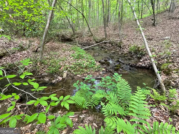 0 Everett Springs Rd NE, Armuchee, GA 30105