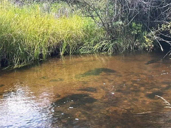 Highboy Dr, Polaris, MT 59746