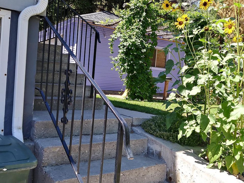 Back steps/back yard.