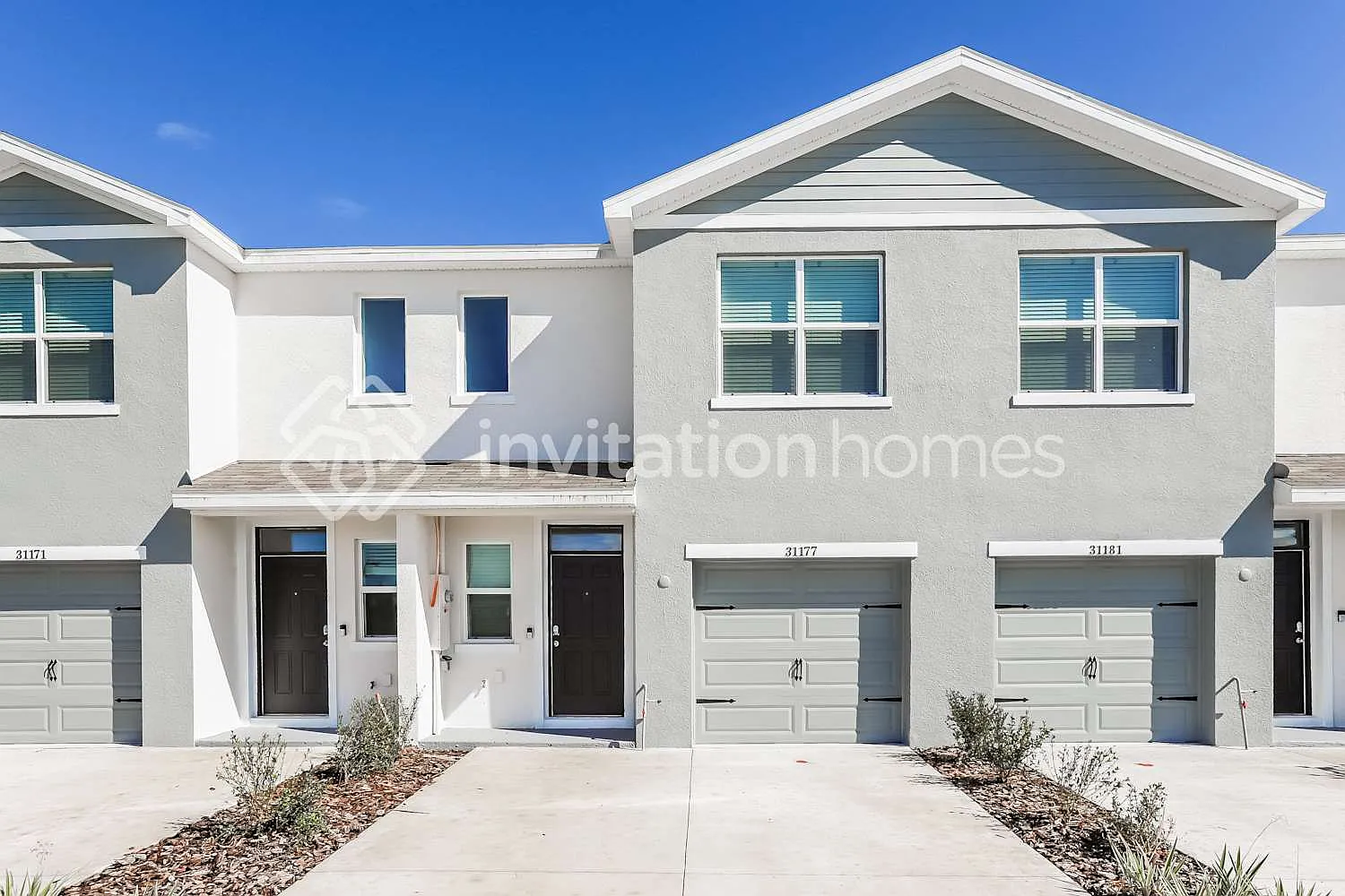 31177 Monterey Pine St Wesley Chapel, FL 33545 — Photo 1