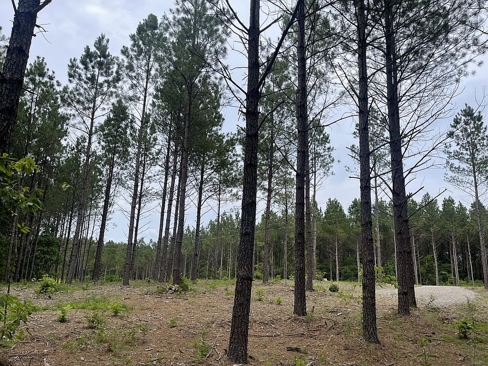 1st image of 162 Pinewood Dr Lot 54