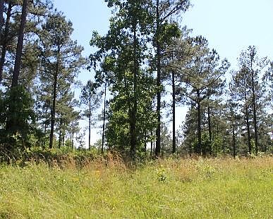 5th image of CR 32 57 Acres Clanton
