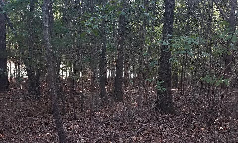 2nd image of 106 Angler Dr
