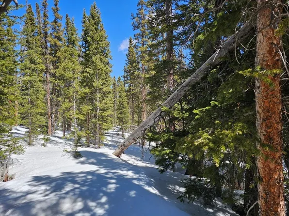 135 Valley Of The Sun Drive, Fairplay, CO 80440