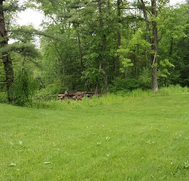 2533 Route 390 #C — Photo 7