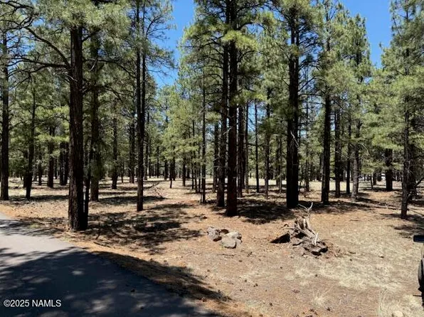 6365 River Dr, Flagstaff, AZ 86004