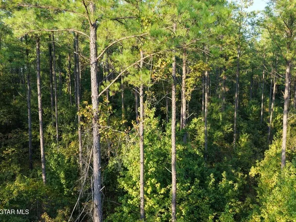 Harpole St, Maben, MS 39750