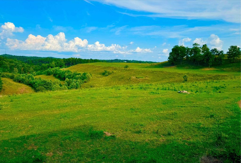 Real estate listing image