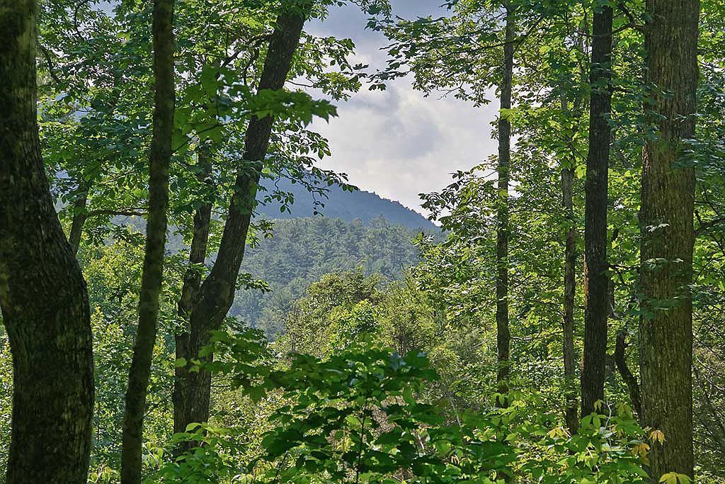 Lake Sequoyah Dr, Highlands, NC 28741 Zillow