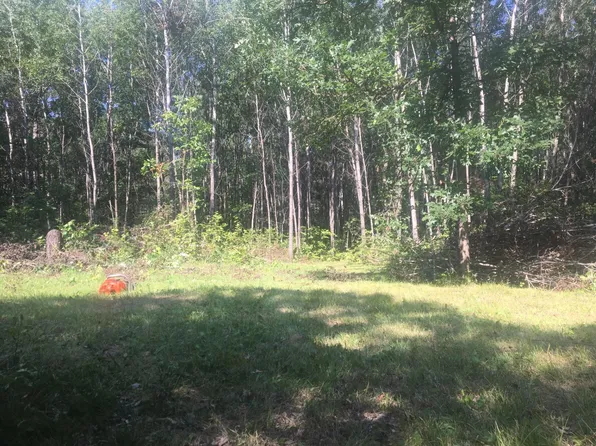 Tbd Rivers Edge Trl SW, Backus, MN 56435