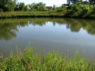 1st image of 13337 Wood Duck Dr