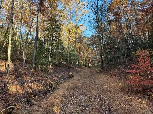 133 Megan Trace Ln, Turtletown, TN 37391