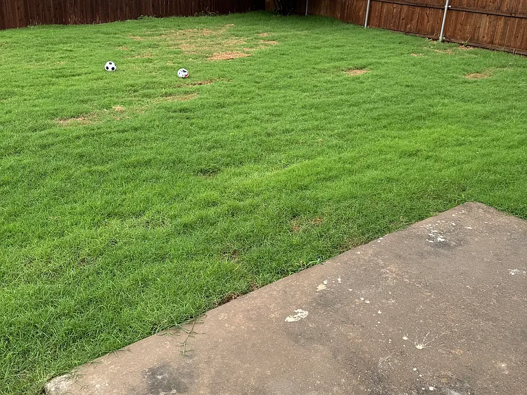 1838 Walnut Way — Photo 11